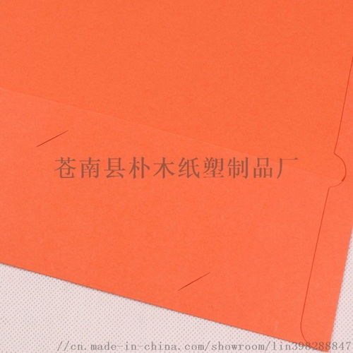 环保与实用的完美结合 苍南县朴木纸塑制品厂A4彩色环保插页文件夹